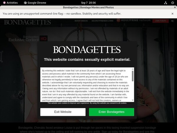 Bondagettes Log In