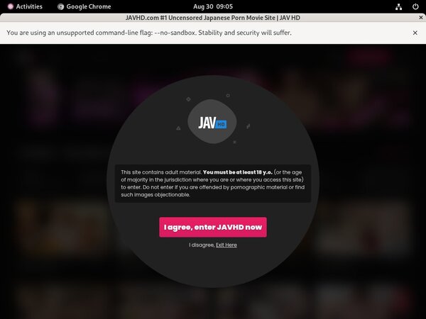 JAV HD Account Online