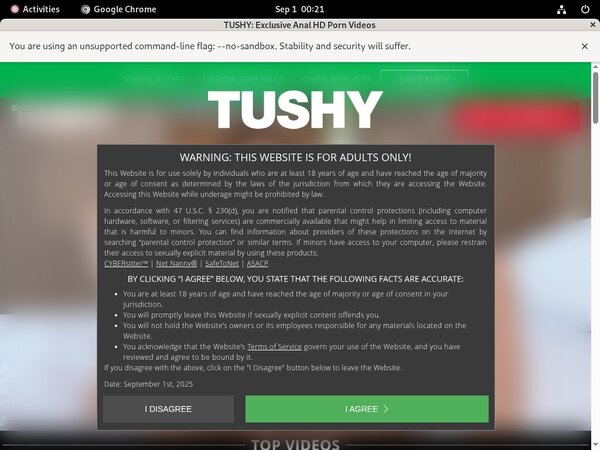 Tushy.com Hd Sex