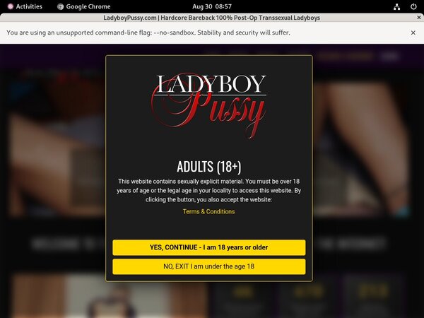 Ladyboypussy.com Pass Word