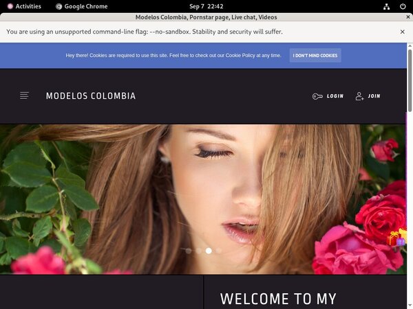 Modelos Colombia 2018